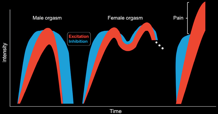 Delayed Orgasm From Lumbosacral Disc Disease Role of the